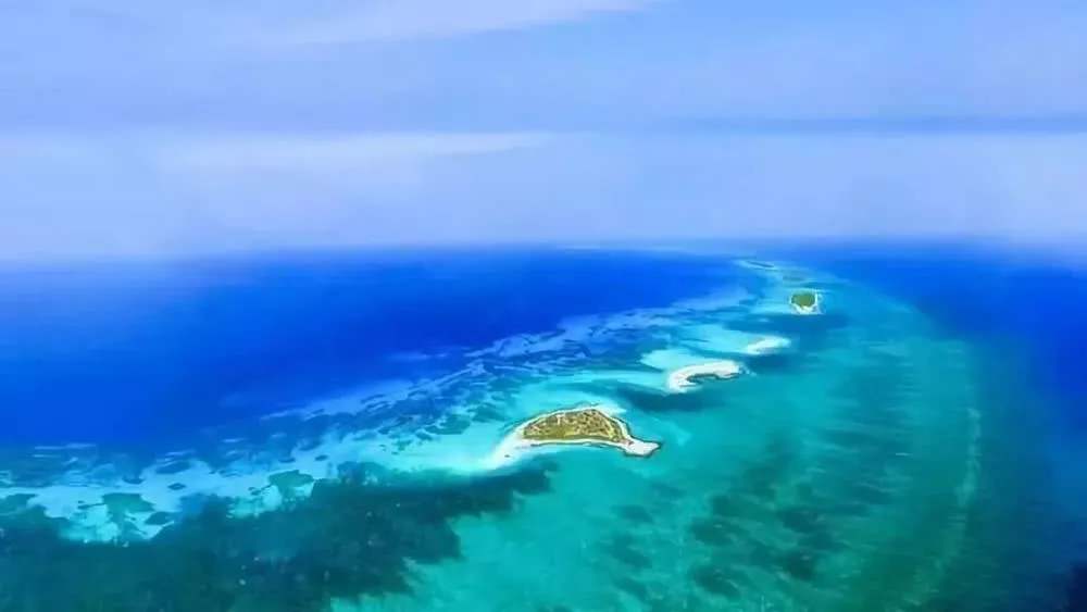 “海南自由港”震撼登場(chǎng)！40個(gè)亮點(diǎn)東方和利帶你一文看懂